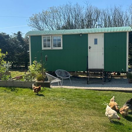 Toms Hut And Robins Rest Shepherd Huts Near Wadebridge Ngoại thất bức ảnh